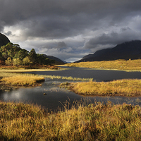 Buy canvas prints of Autumn Torridon by Rob Turner