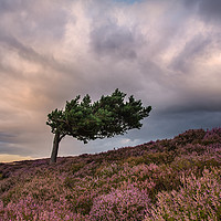 Buy canvas prints of Summer Evening in the Peak District. by Rob Turner