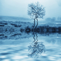 Buy canvas prints of Cold Reflection by paul cowles