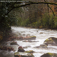 Buy canvas prints of Foggy River by Michael Waters Photography