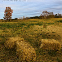 Buy canvas prints of Hay Bales by Michael Waters Photography