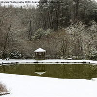 Buy canvas prints of Snow at the Pond by Michael Waters Photography