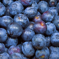 Buy canvas prints of Sweet Blueberries by Michael Waters Photography