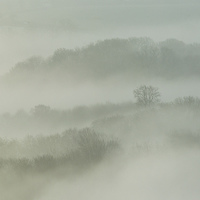 Buy canvas prints of  Mist of time by Philip Male