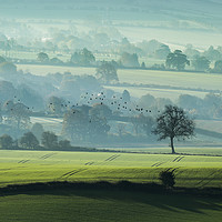 Buy canvas prints of Early Start by Philip Male