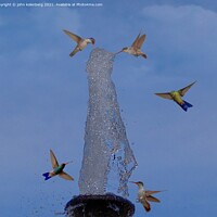 Buy canvas prints of hummingbird fountain by john kolenberg