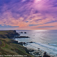 Buy canvas prints of Coastal path by Andrew Driver