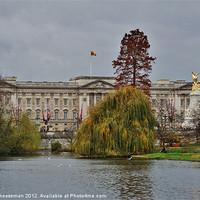 Buy canvas prints of Buckingham Palace by Craig Cheeseman