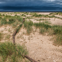 Buy canvas prints of Humberstone Beach by Alan Kirkby
