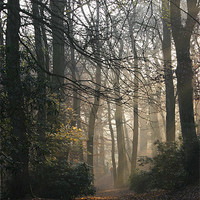 Buy canvas prints of Early Autum Morning by malcolm fish