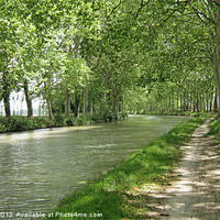Buy canvas prints of THE CANAL DU MIDI. by malcolm fish