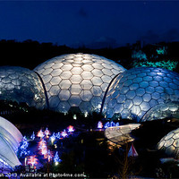 Buy canvas prints of Eden by night by malcolm fish