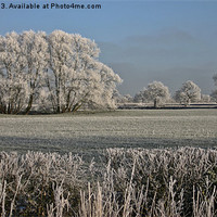 Buy canvas prints of MIDDAY AT PLUMLEY by malcolm fish