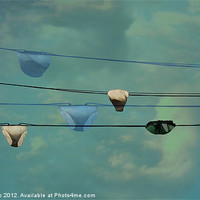 Buy canvas prints of Underwear on a washing line by Jasna Buncic