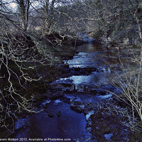 Buy canvas prints of The River Nidd by Steven Watson