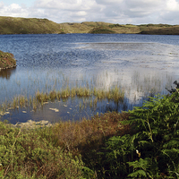 Buy canvas prints of Kiltooris Lough by Steven Watson