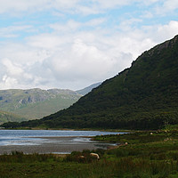 Buy canvas prints of Loch Ba by Steven Watson