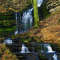 Buy canvas prints of Scaleber Force by Steven Watson
