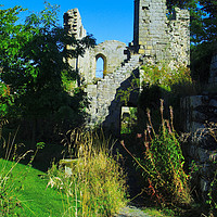 Buy canvas prints of At Jervaulx Abbey by Steven Watson
