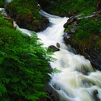 Buy canvas prints of Mountain Stream by Steven Watson