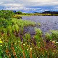 Buy canvas prints of Loch Peallach by Steven Watson