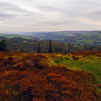 Buy canvas prints of Nought Moor by Steven Watson