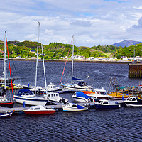 Buy canvas prints of Lochinver Marina by Steven Watson