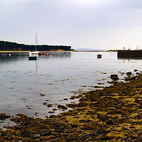 Buy canvas prints of The Findhorn Estuary by Steven Watson