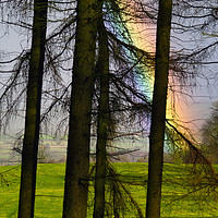 Buy canvas prints of Refraction and Larches by Steven Watson