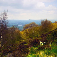 Buy canvas prints of From Otley Chevin 2 by Steven Watson