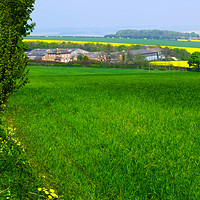 Buy canvas prints of A Wolds Farm by Steven Watson