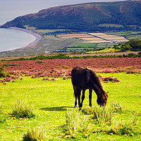 Buy canvas prints of Exmoor and the Vale of Porlock by Steven Watson