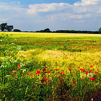 Buy canvas prints of Marston Moor Battlefield 2 by Steven Watson