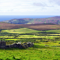 Buy canvas prints of Calf of Man by Steven Watson