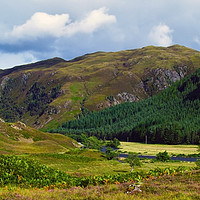 Buy canvas prints of Strathconon by Steven Watson