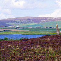 Buy canvas prints of From Brodgar by Steven Watson