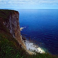 Buy canvas prints of Bempton Cliffs by Steven Watson