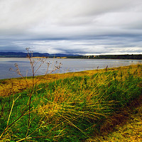 Buy canvas prints of The Beauly Firth by Steven Watson