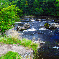 Buy canvas prints of The River Ure by Steven Watson