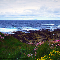 Buy canvas prints of Westray Firth by Steven Watson