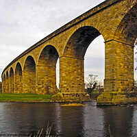 Buy canvas prints of The Arthington Railway Viaduct by Steven Watson
