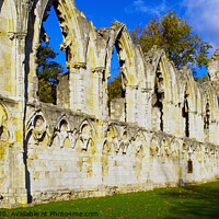 Buy canvas prints of St. Mary's Abbey, York. by Steven Watson