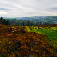 Buy canvas prints of On Nought Moor by Steven Watson