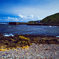 Buy canvas prints of Burnmouth Harbour by Steven Watson