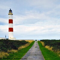 Buy canvas prints of Tarbat Ness Lighthouse by Steven Watson