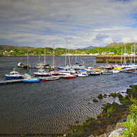 Buy canvas prints of Lochinver Marina by Steven Watson