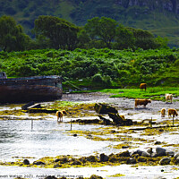 Buy canvas prints of Saltbeef by Steven Watson