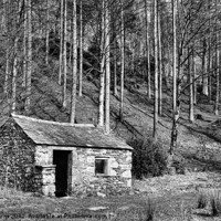 Buy canvas prints of BOTHY by Helen Cullens