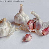 Buy canvas prints of GARLIC by Helen Cullens