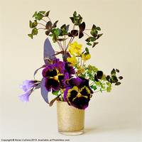 Buy canvas prints of PANSIES IN A GOLD VASE by Helen Cullens